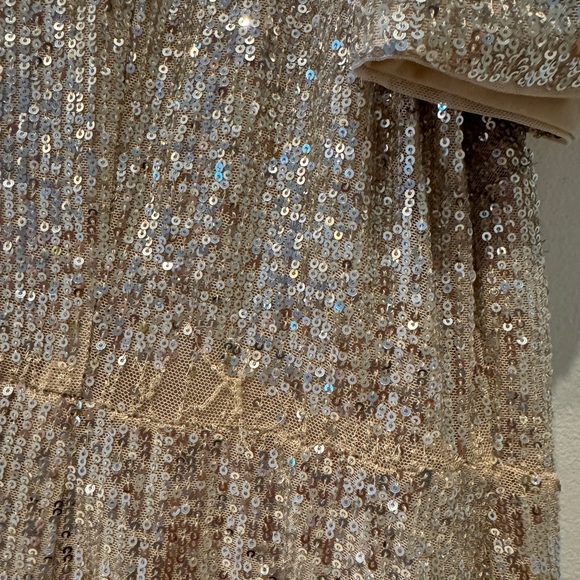 H&M Champagne with Silver Sequin Dress XXL - Picture 7 of 10